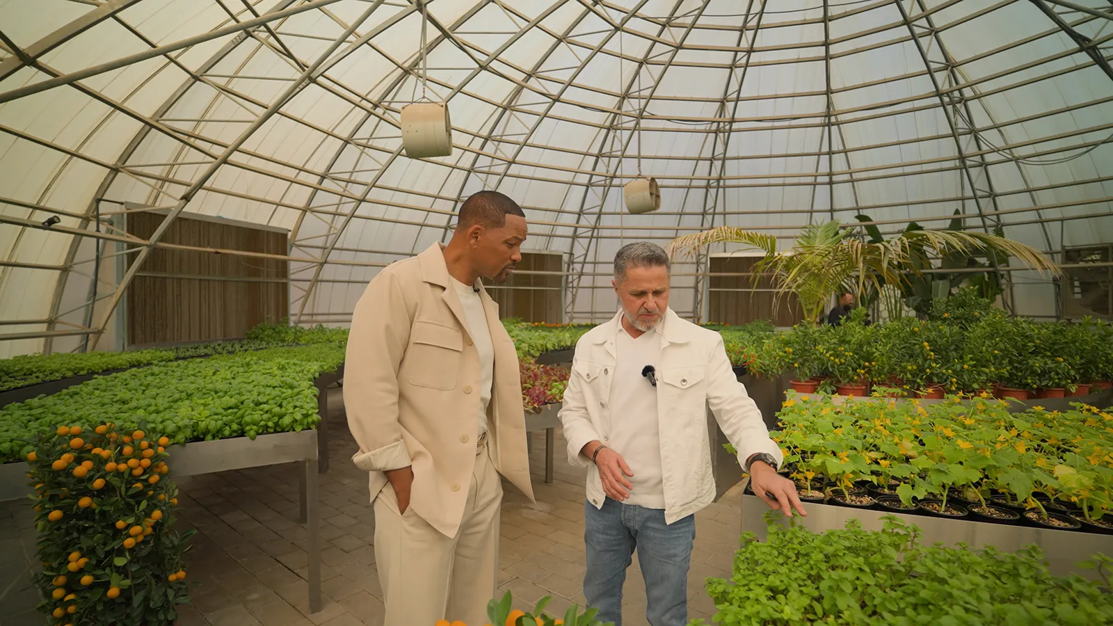 Two people talking among crops inside a Sustainable City biodome