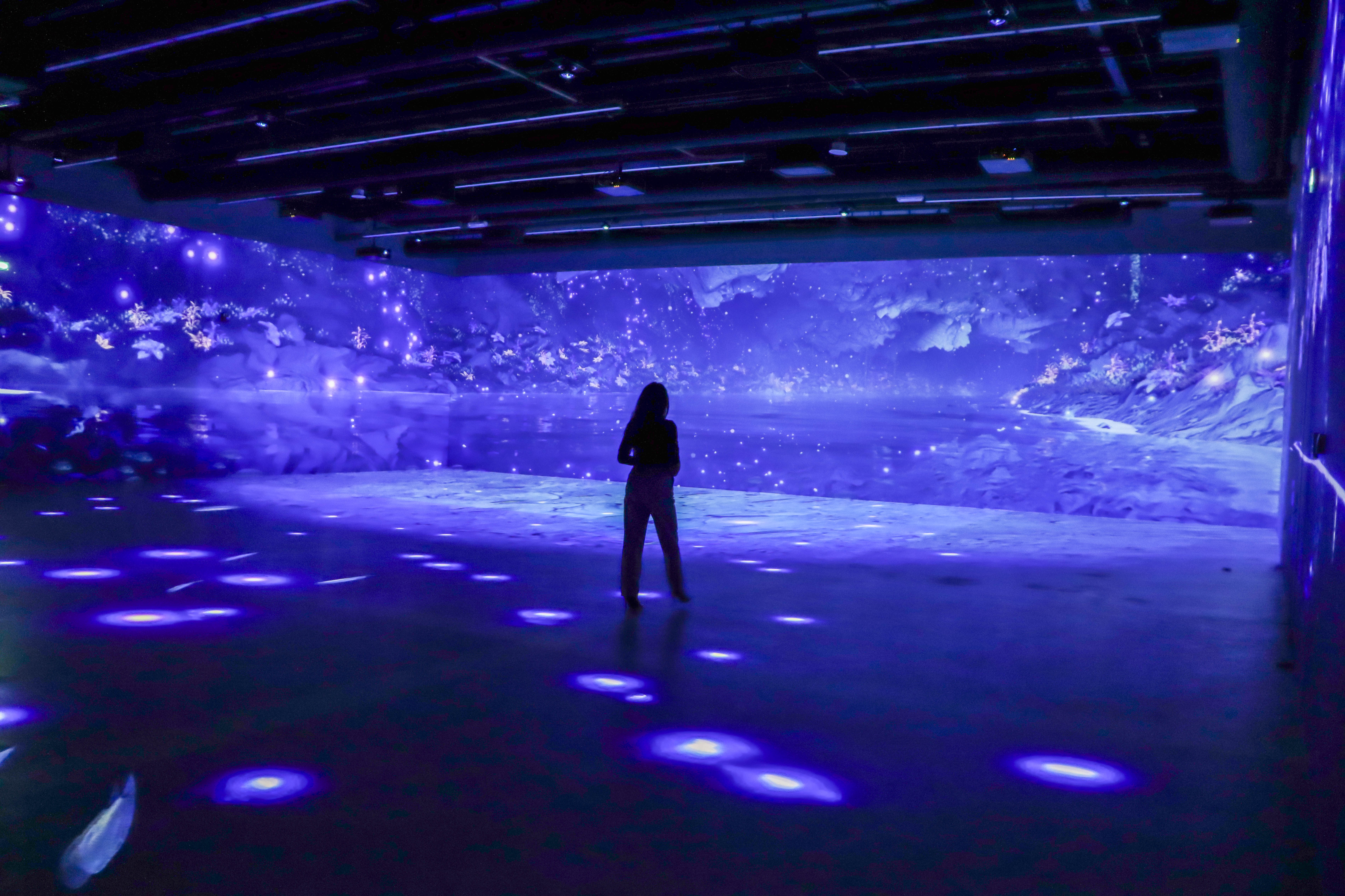 A visitor in the ImmerSEE room at SEE Institute