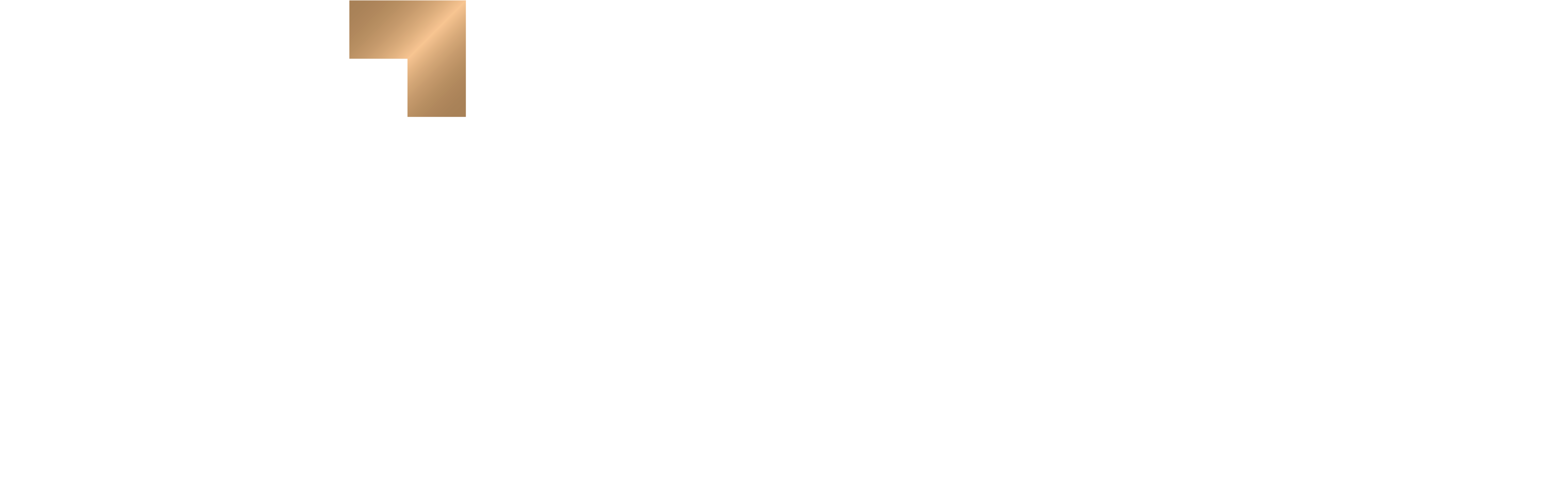 SEE Institute