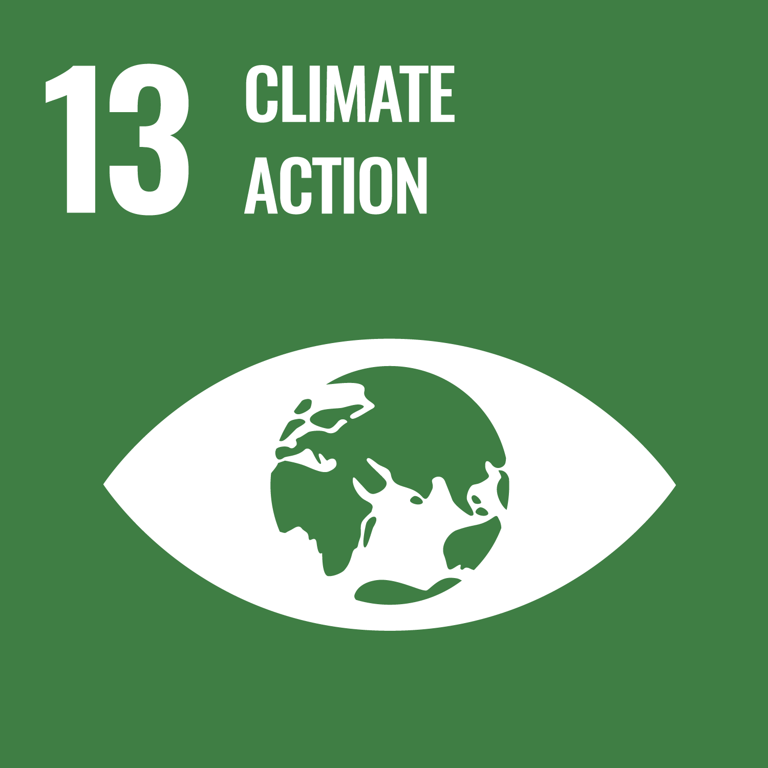 13 goal climate action