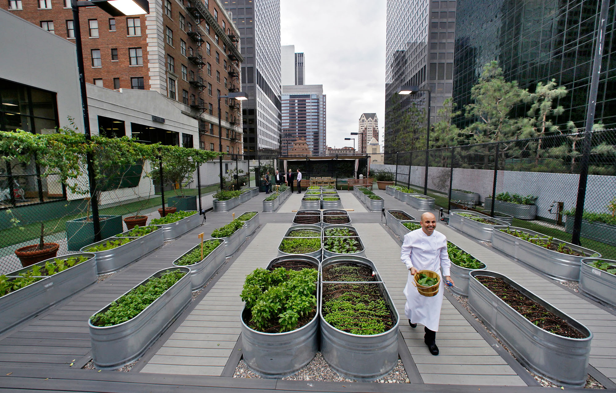 Featured image for “Sustainable Urban Food Management”