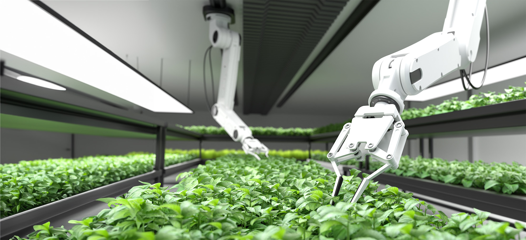 Featured image for “Smart Future Farms – Indoor Vertical Farming”